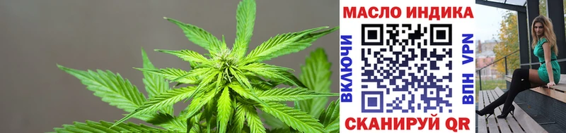 shop какой сайт  Цивильск  Дистиллят ТГК THC oil 