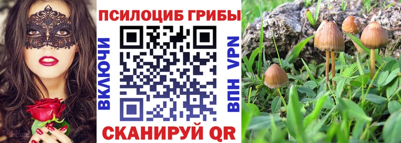 Галлюциногенные грибы мухоморы  гидра ТОР  Цивильск  купить наркотики сайты 